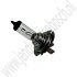 H7 Halogeen Long Life Saab 9-3v2 9-5 ond.nr. 93169007 32051056